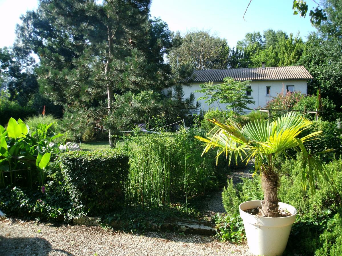 Le Bord De L'Eau Bed & Breakfast Sainte-Terre Ngoại thất bức ảnh