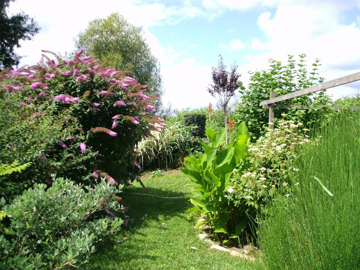 Le Bord De L'Eau Bed & Breakfast Sainte-Terre Ngoại thất bức ảnh