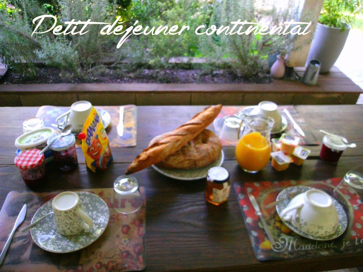 Le Bord De L'Eau Bed & Breakfast Sainte-Terre Ngoại thất bức ảnh